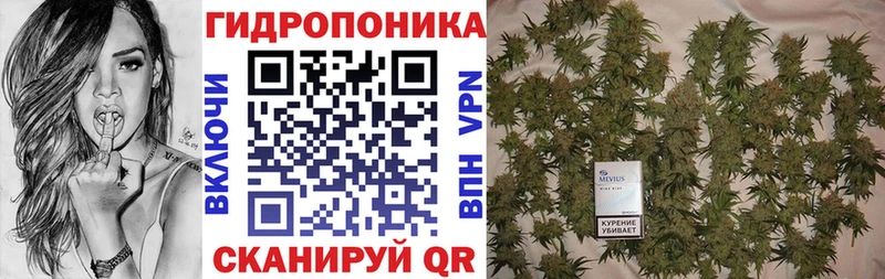 Продажа наркотиков Новочебоксарск ссылка на мегу маркетплейс  ЭКСТАЗИ  Гашиш  Мефедрон  Кокаин  Конопля 