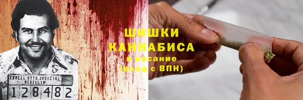 мдпв Краснослободск