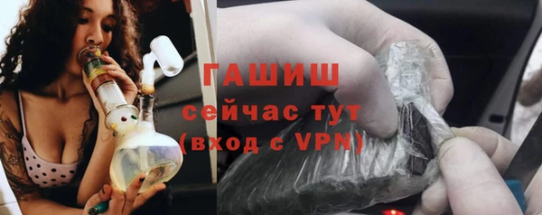 мдпв Краснослободск