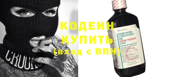 мдпв Краснослободск