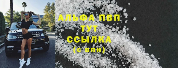 мдпв Краснослободск