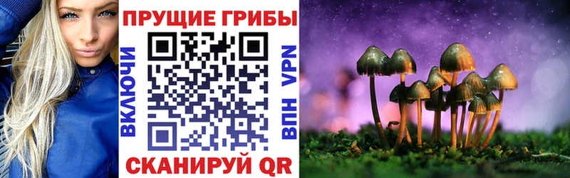 Псилоцибиновые грибы ЛСД  где продают наркотики  ссылка на мегу ссылки  Новочебоксарск 